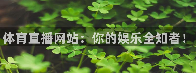体育直播网站：你的娱乐全知者！