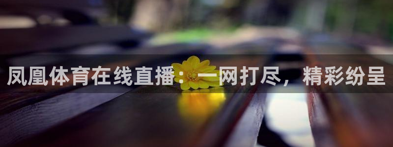 凤凰体育在线直播：一网打尽，精彩纷呈