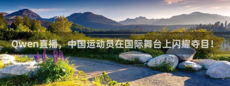Qwen直播，中国运动员在国际舞台上闪耀夺目！