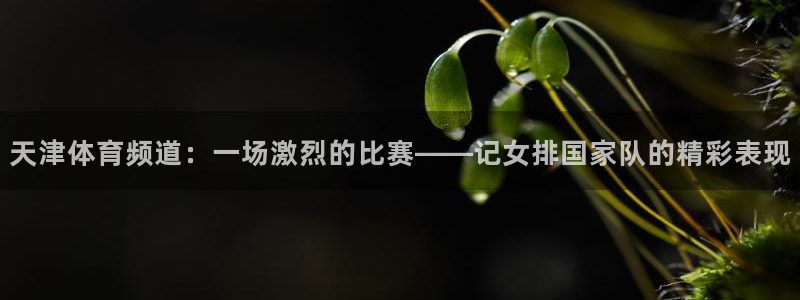 天津体育频道：一场激烈的比赛——记女排国家队的精彩表现
