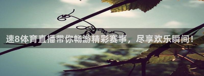 速8体育直播带你畅游精彩赛事，尽享欢乐瞬间！