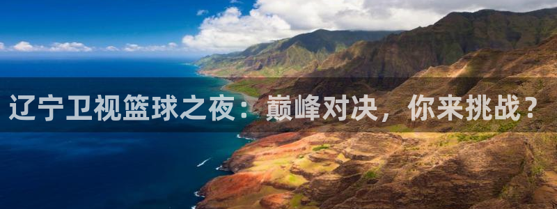 辽宁卫视篮球之夜：巅峰对决，你来挑战？