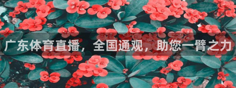 广东体育直播，全国通观，助您一臂之力